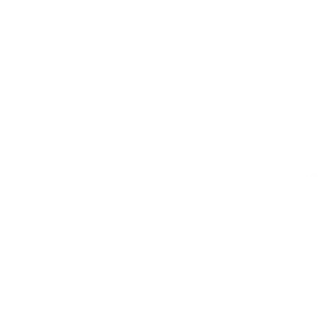 evexipel logo